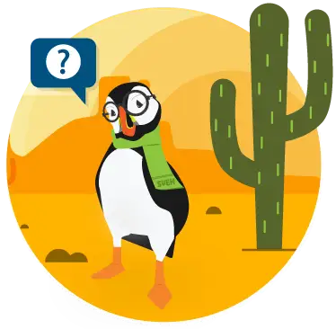 404 Sven in a desert